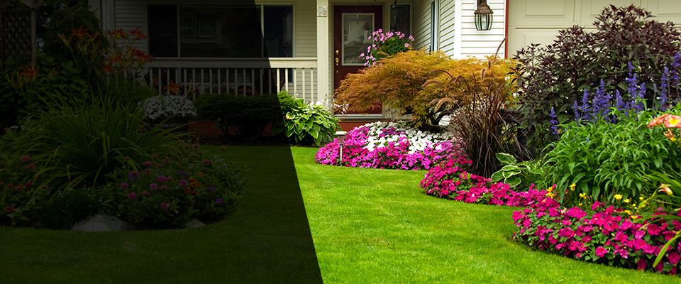 North Augusta Landscapers