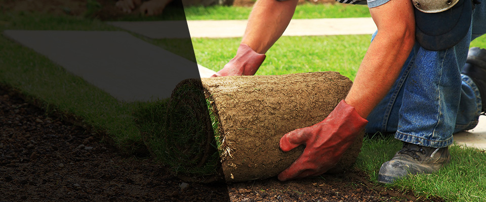 North Augusta Landscapers